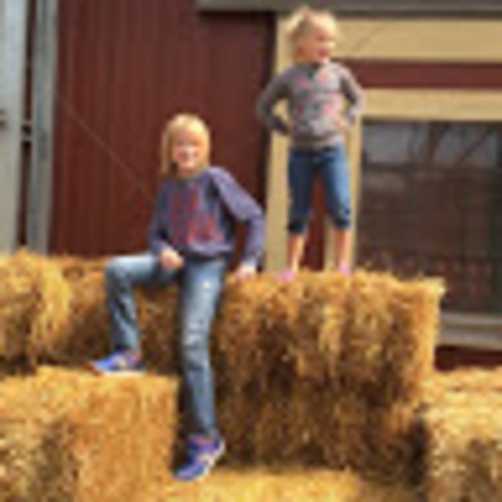 Meet your Posher, Neil